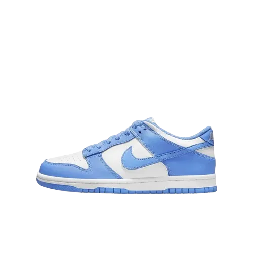 Nike Dunk Low (GS)